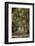 Path Through the Trees-Aaron Matheson-Framed Photographic Print