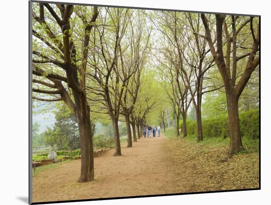 Path Through Tunnel of Trees at Monticello, Virginia, USA-Merrill Images-Mounted Photographic Print