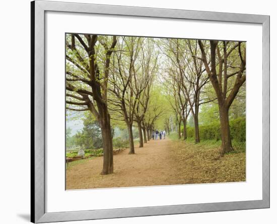 Path Through Tunnel of Trees at Monticello, Virginia, USA-Merrill Images-Framed Photographic Print