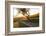 Path Through Vineyards in Autumn at Sunset-Marcus Lange-Framed Photographic Print