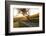 Path Through Vineyards in Autumn at Sunset-Marcus Lange-Framed Photographic Print