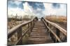 Path To Paradise-Michael Cahill-Mounted Giclee Print