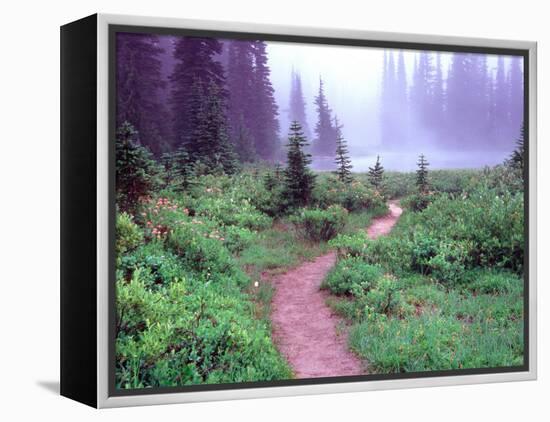 Path to Reflection Lake, Mt. Rainier National Park, Washington, USA-Janell Davidson-Framed Premier Image Canvas