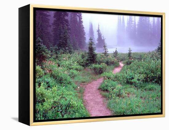 Path to Reflection Lake, Mt. Rainier National Park, Washington, USA-Janell Davidson-Framed Premier Image Canvas