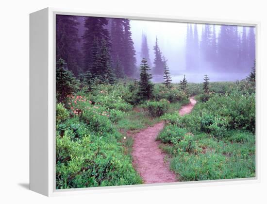 Path to Reflection Lake, Mt. Rainier National Park, Washington, USA-Janell Davidson-Framed Premier Image Canvas