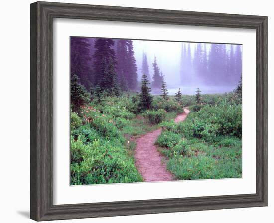 Path to Reflection Lake, Mt. Rainier National Park, Washington, USA-Janell Davidson-Framed Photographic Print