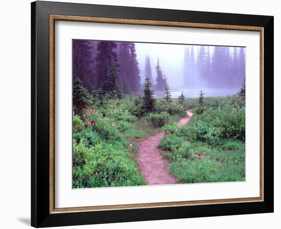 Path to Reflection Lake, Mt. Rainier National Park, Washington, USA-Janell Davidson-Framed Photographic Print