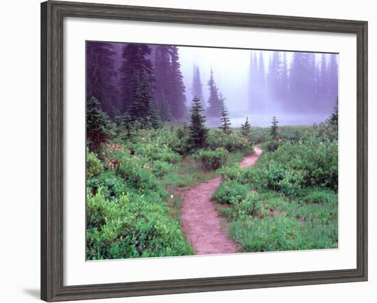 Path to Reflection Lake, Mt. Rainier National Park, Washington, USA-Janell Davidson-Framed Photographic Print