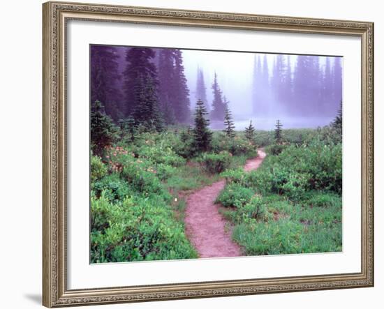 Path to Reflection Lake, Mt. Rainier National Park, Washington, USA-Janell Davidson-Framed Photographic Print