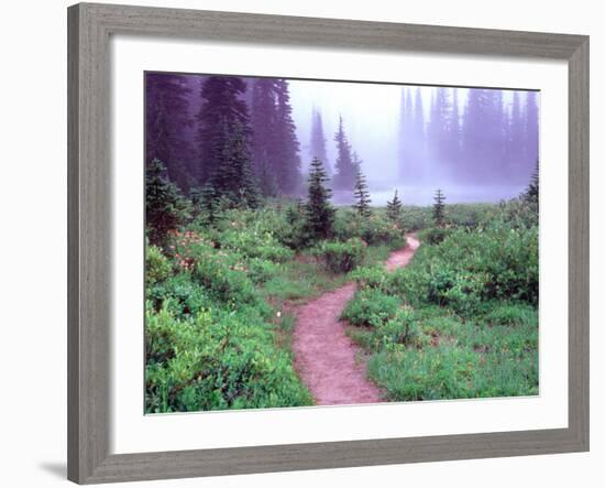 Path to Reflection Lake, Mt. Rainier National Park, Washington, USA-Janell Davidson-Framed Photographic Print