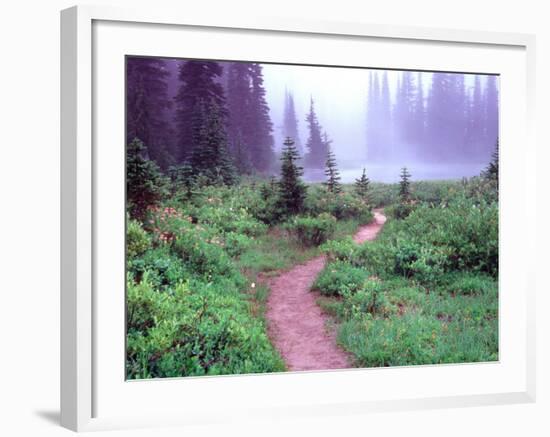 Path to Reflection Lake, Mt. Rainier National Park, Washington, USA-Janell Davidson-Framed Photographic Print