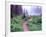 Path to Reflection Lake, Mt. Rainier National Park, Washington, USA-Janell Davidson-Framed Photographic Print