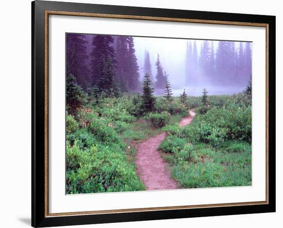 Path to Reflection Lake, Mt. Rainier National Park, Washington, USA-Janell Davidson-Framed Photographic Print