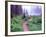 Path to Reflection Lake, Mt. Rainier National Park, Washington, USA-Janell Davidson-Framed Photographic Print