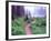 Path to Reflection Lake, Mt. Rainier National Park, Washington, USA-Janell Davidson-Framed Photographic Print