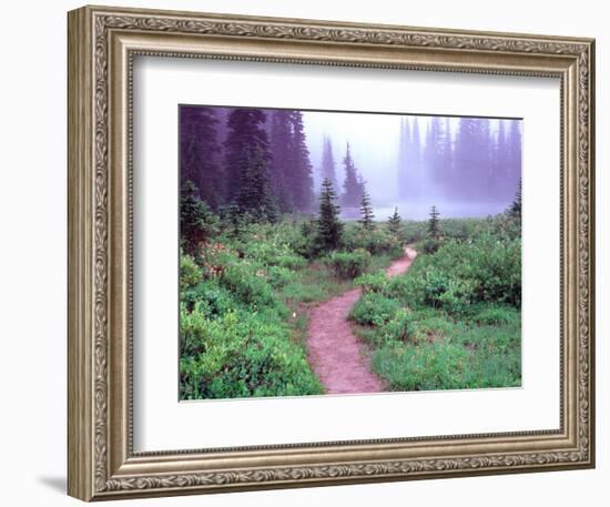 Path to Reflection Lake, Mt. Rainier National Park, Washington, USA-Janell Davidson-Framed Photographic Print