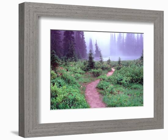 Path to Reflection Lake, Mt. Rainier National Park, Washington, USA-Janell Davidson-Framed Photographic Print