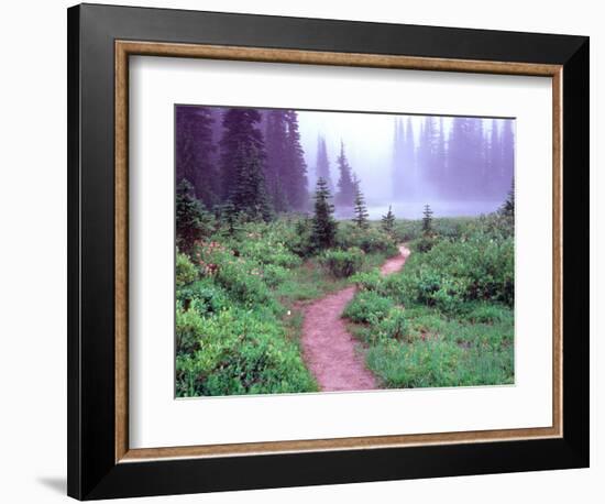 Path to Reflection Lake, Mt. Rainier National Park, Washington, USA-Janell Davidson-Framed Photographic Print