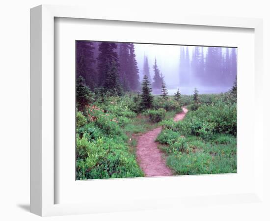 Path to Reflection Lake, Mt. Rainier National Park, Washington, USA-Janell Davidson-Framed Photographic Print