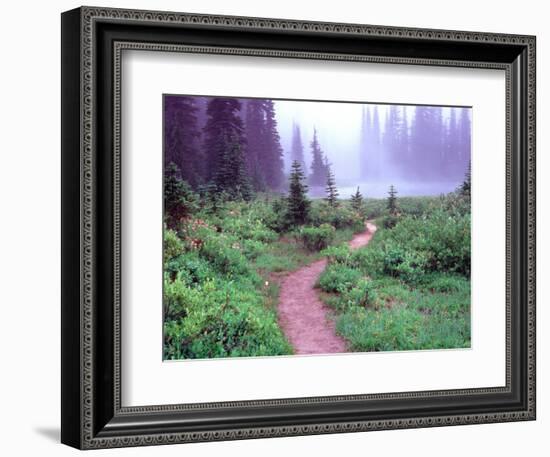 Path to Reflection Lake, Mt. Rainier National Park, Washington, USA-Janell Davidson-Framed Photographic Print