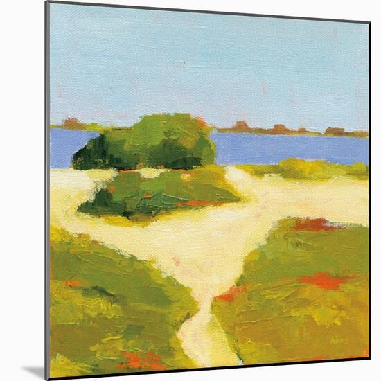 Path to the Beach-Phyllis Adams-Mounted Art Print