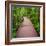 Path to the Jungle,Trang,Thailand-lkunl-Framed Photographic Print