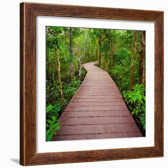 Path to the Jungle,Trang,Thailand-lkunl-Framed Photographic Print