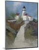 Path to the Lighthouse-Albert Swayhoover-Mounted Art Print