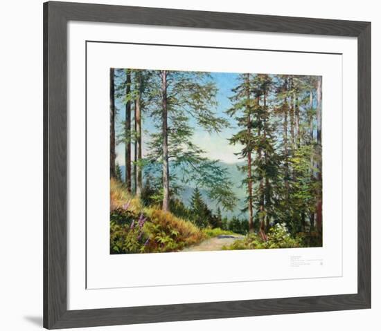 Path to the Valley-Ernst Frommhold-Framed Collectable Print