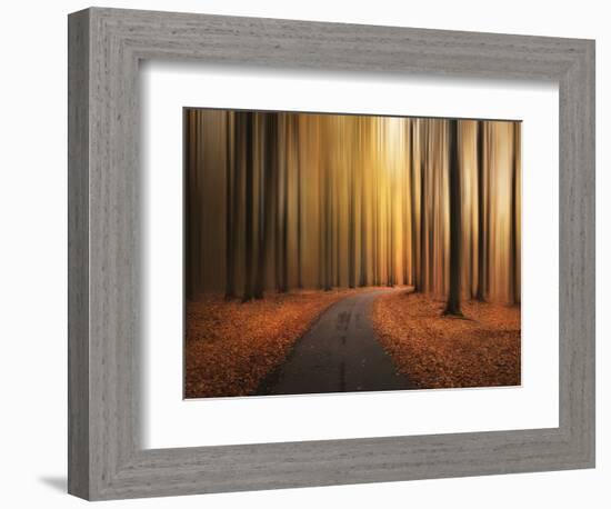 Path to unknown-Christian Lindsten-Framed Photographic Print