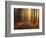 Path to unknown-Christian Lindsten-Framed Photographic Print