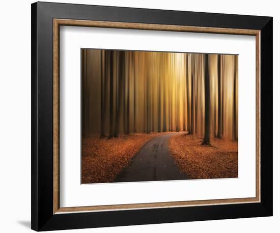 Path to unknown-Christian Lindsten-Framed Photographic Print