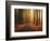 Path to unknown-Christian Lindsten-Framed Photographic Print