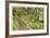 Path To Waterfall-Donald Paulson-Framed Giclee Print