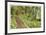 Path To Waterfall-Donald Paulson-Framed Giclee Print