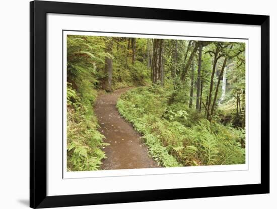 Path To Waterfall-Donald Paulson-Framed Giclee Print