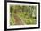 Path To Waterfall-Donald Paulson-Framed Giclee Print