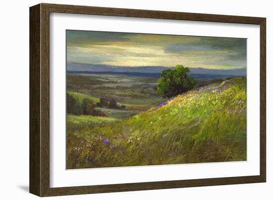 Path Up Windy Hill-Sheila Finch-Framed Art Print