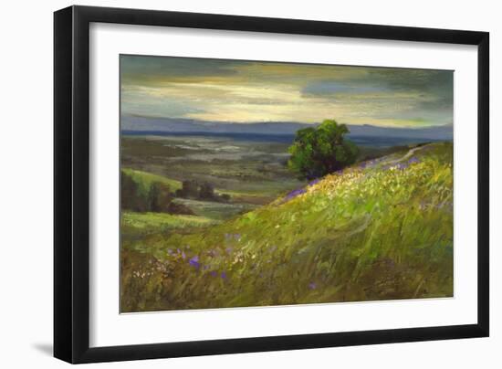 Path Up Windy Hill-Sheila Finch-Framed Art Print