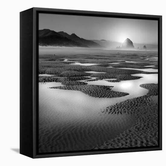 Path-Moises Levy-Framed Premier Image Canvas