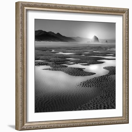 Path-Moises Levy-Framed Photographic Print