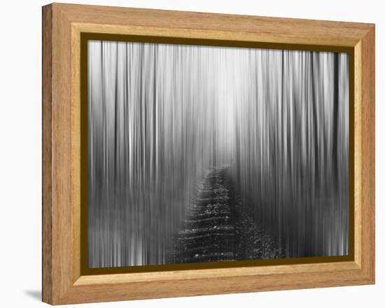 Path-Savanah Plank-Framed Stretched Canvas