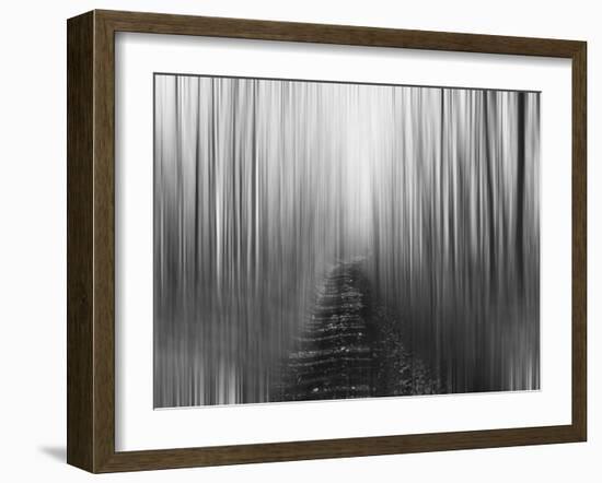 Path-Savanah Plank-Framed Photo