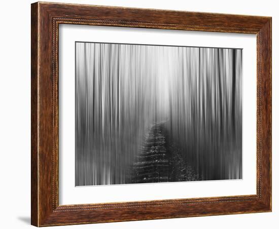 Path-Savanah Plank-Framed Photo