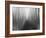 Path-Savanah Plank-Framed Photo