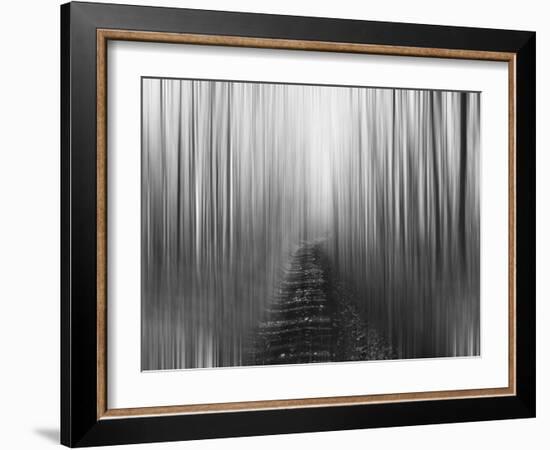 Path-Savanah Plank-Framed Photo