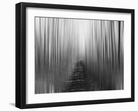 Path-Savanah Plank-Framed Photo