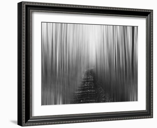 Path-Savanah Plank-Framed Photo