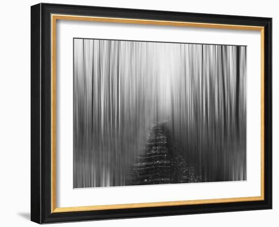 Path-Savanah Plank-Framed Photo