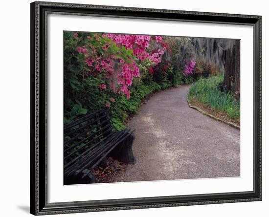 Pathway and Bench in Magnolia Plantation and Gardens, Charleston, South Carolina, USA-Julie Eggers-Framed Photographic Print